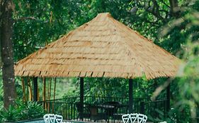 Athirapilly On The Rocks